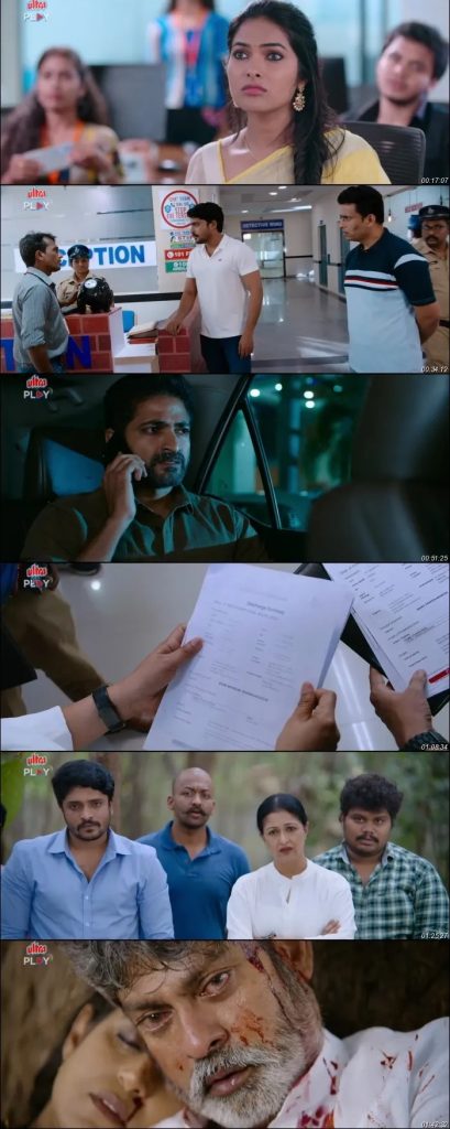 Download Simbaa (2024) Hindi HDRip Full Movie 480p | 720p | 1080p